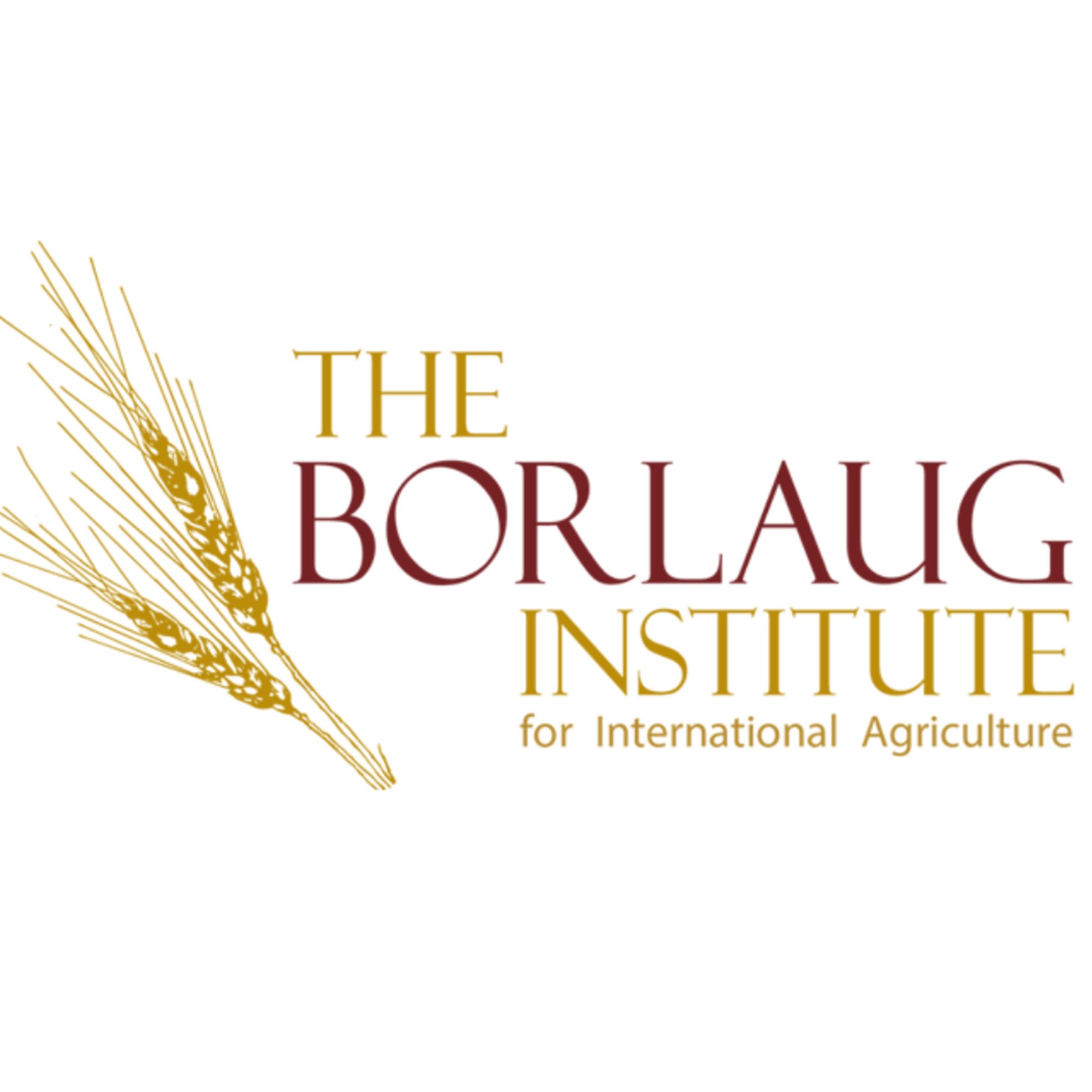 THE BORLAUG INSTITUTE FOR INTERNATIONAL AGRICULTURE