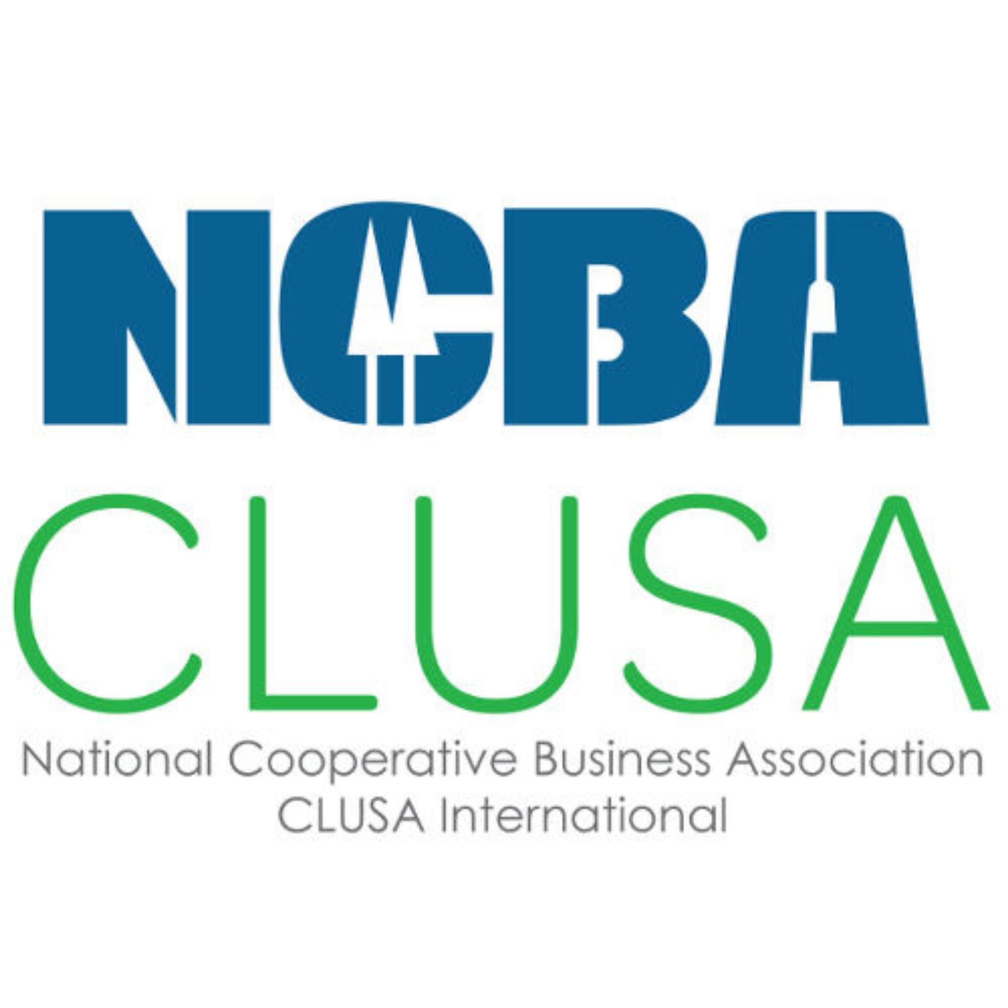 THE NATIONAL COOPERATIVE BUSINESS ASSOCIATION - CLUSA INTERNATIONAL